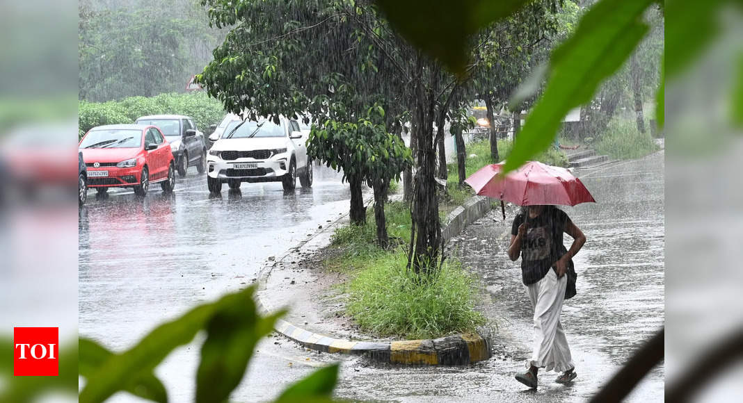 Orange Alert Orange Alerts Issued For Five Districts In Kerala Due To