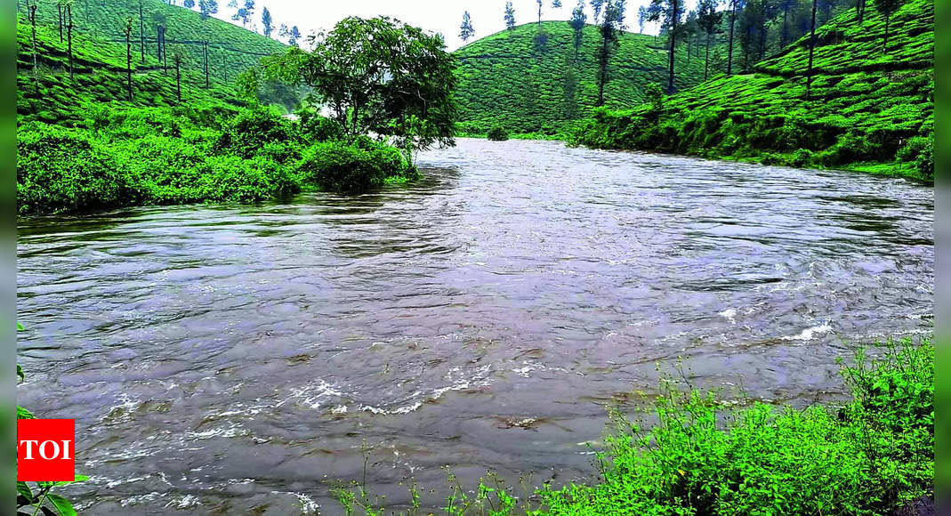 Noyyal River: Heavy Rain Increases Water Levels in Noyyal River ...