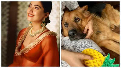 Heartbroken Rashmika Mandanna mourns the death of her pet 'goodest boiii' Maxi: We’ll miss you...