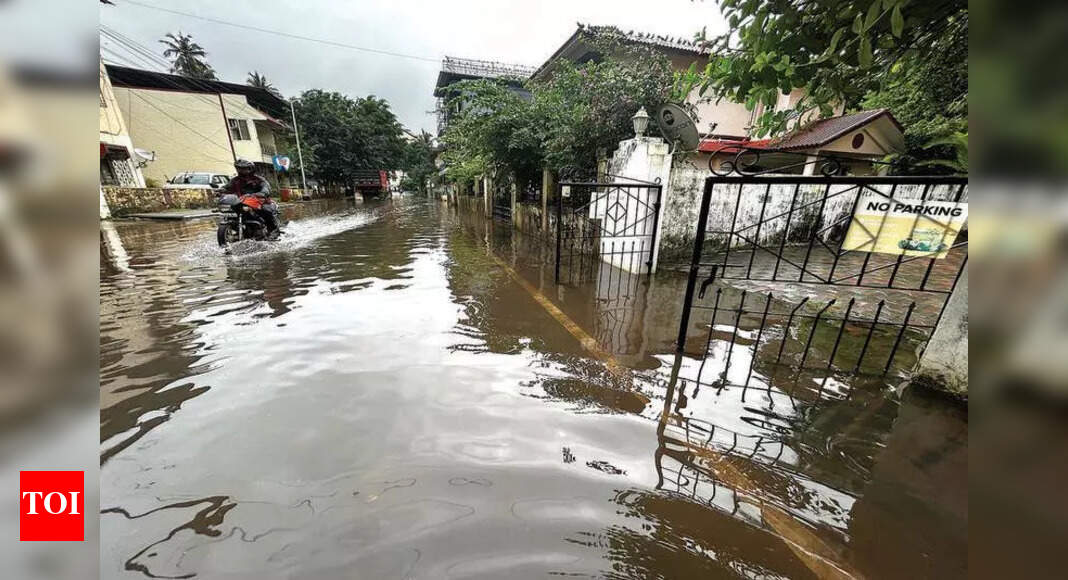 Brace for heavy rain till weekend: IMD | Goa News - Times of India