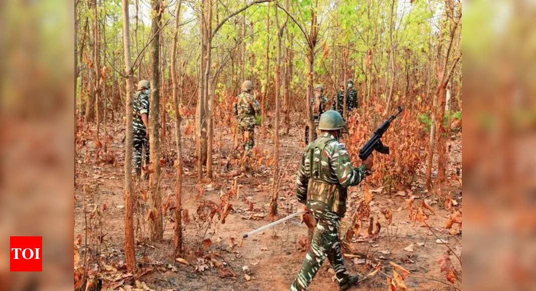 12 Maoists Killed, 1 Cop Injured In Maharashtra Encounter; Search Under ...