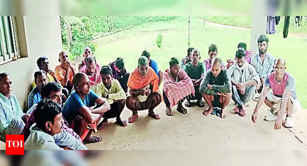 Migrant Workers: 27 Jharkhand migrant workers stranded in Cameroon seek ...