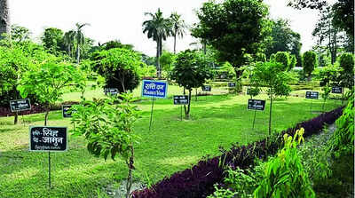 Trees of this park align with zodiac signs, nakshatra