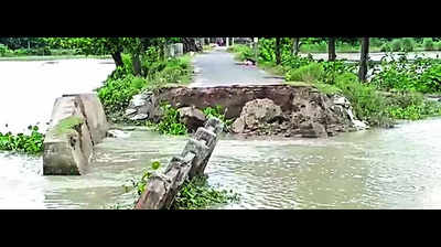 Bihar sees 15th bridge collapse in a month