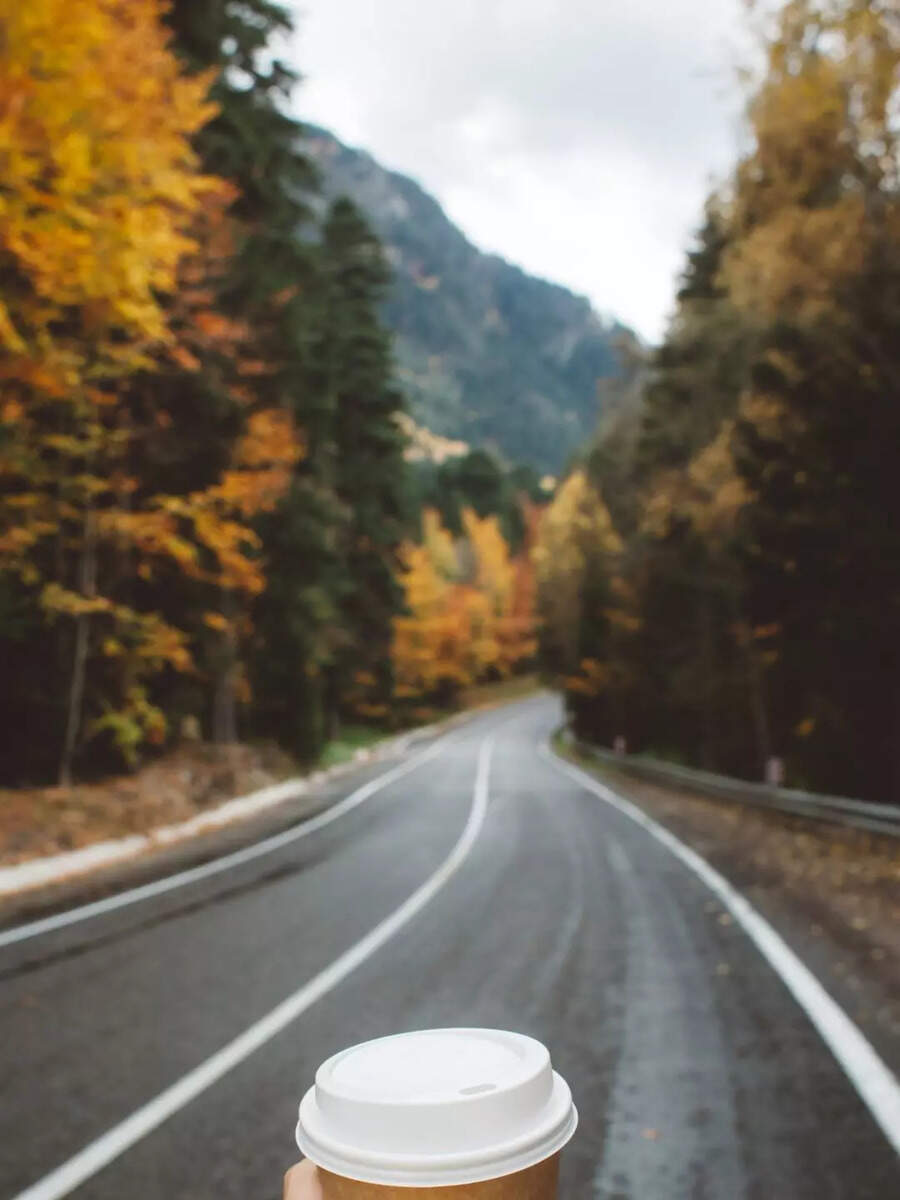  ஆகஸ்ட் மாதத்தில் இந்தியாவில் பார்க்க வேண்டிய முக்கிய ஸ்பாட்கள்! 