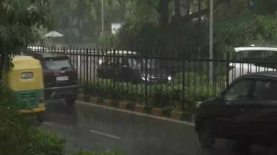 Delhiites get relief from humid weather as rain lashes parts of national capital