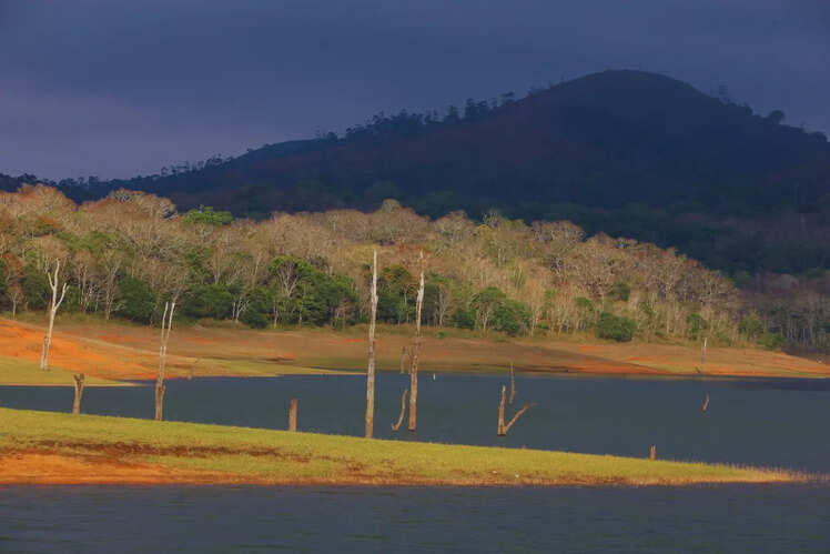 Periyar National Park, Kerala