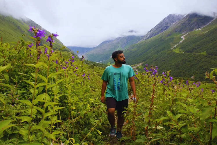 Valley of Flowers National Park, Uttarakhand