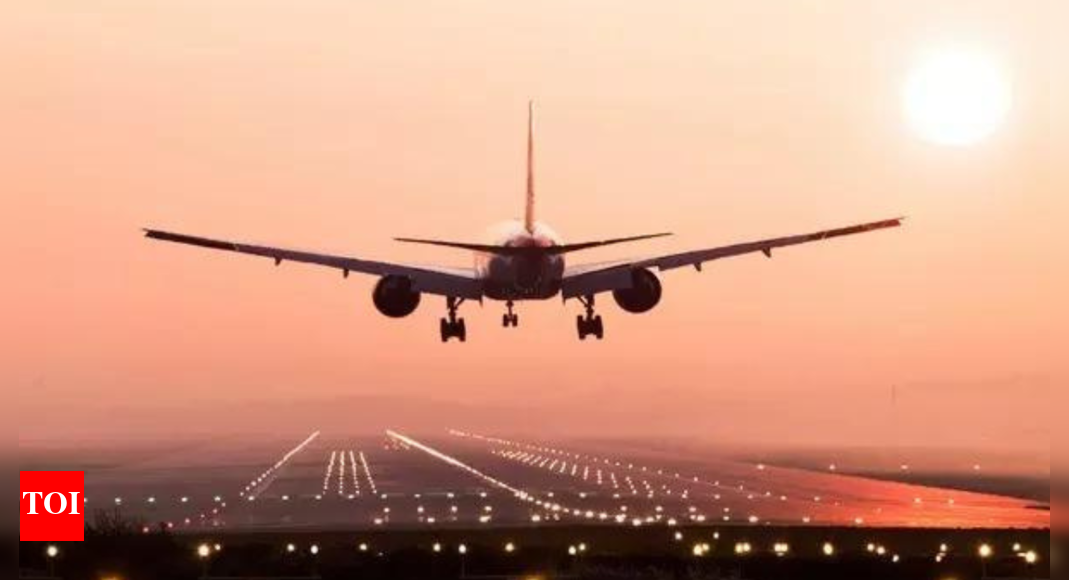 Global airline passenger traffic expected to double in 20 years