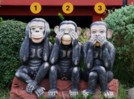 Which one of the three monkeys do you like? This can reveal your strongest emotion