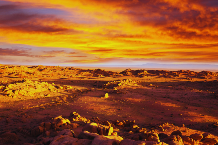 Gobi Desert, Mongolia