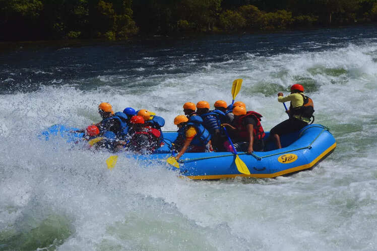Dandeli