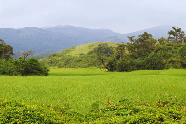 Sakleshpur