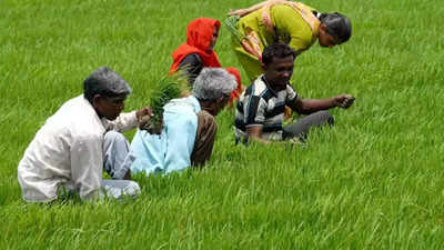 Telangana waives Rs 6K crore farm loans, CM Revanth Reddy to organise 'thanksgiving' meet for Rahul Gandhi