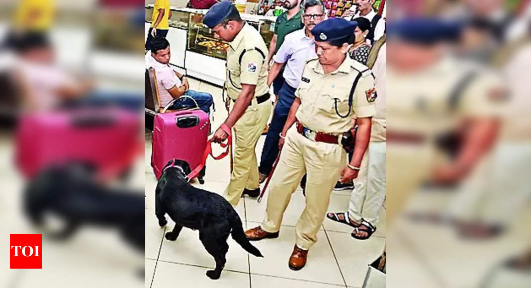 Police Dog Tunga 2 Saves Woman's Life