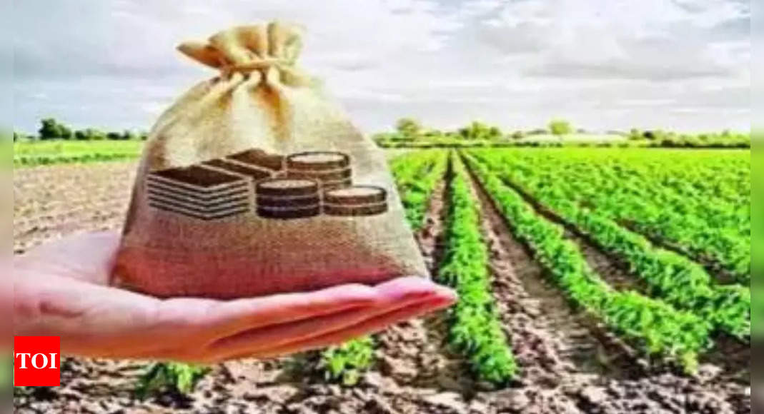 Farm Loan Waiver Telangana Farm Loan Waiver Scheme Impact And Disparities In Credit