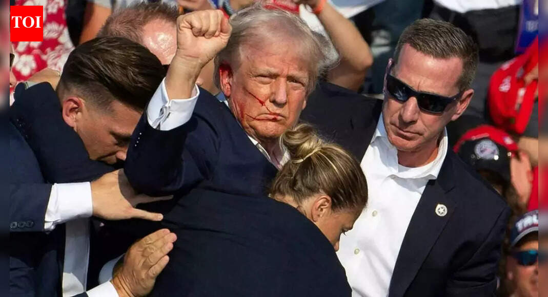 timesofindia.indiatimes.com