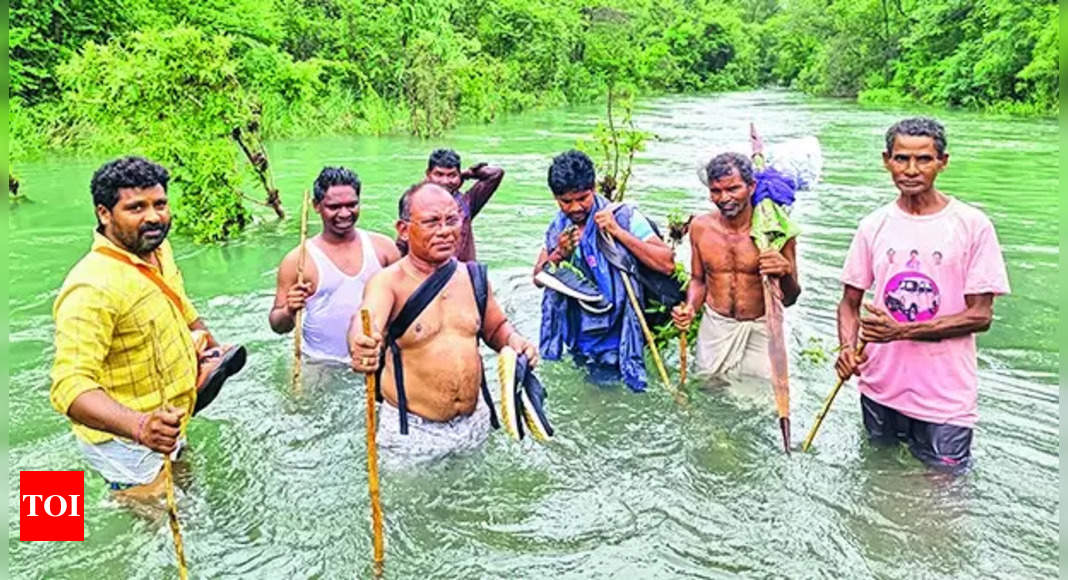 Telangana health officer treks 16km, wades through stream to give medicines to tribals