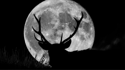 Catch the spectacular 'Buck Moon' this weekend: Why the full Moon is ...