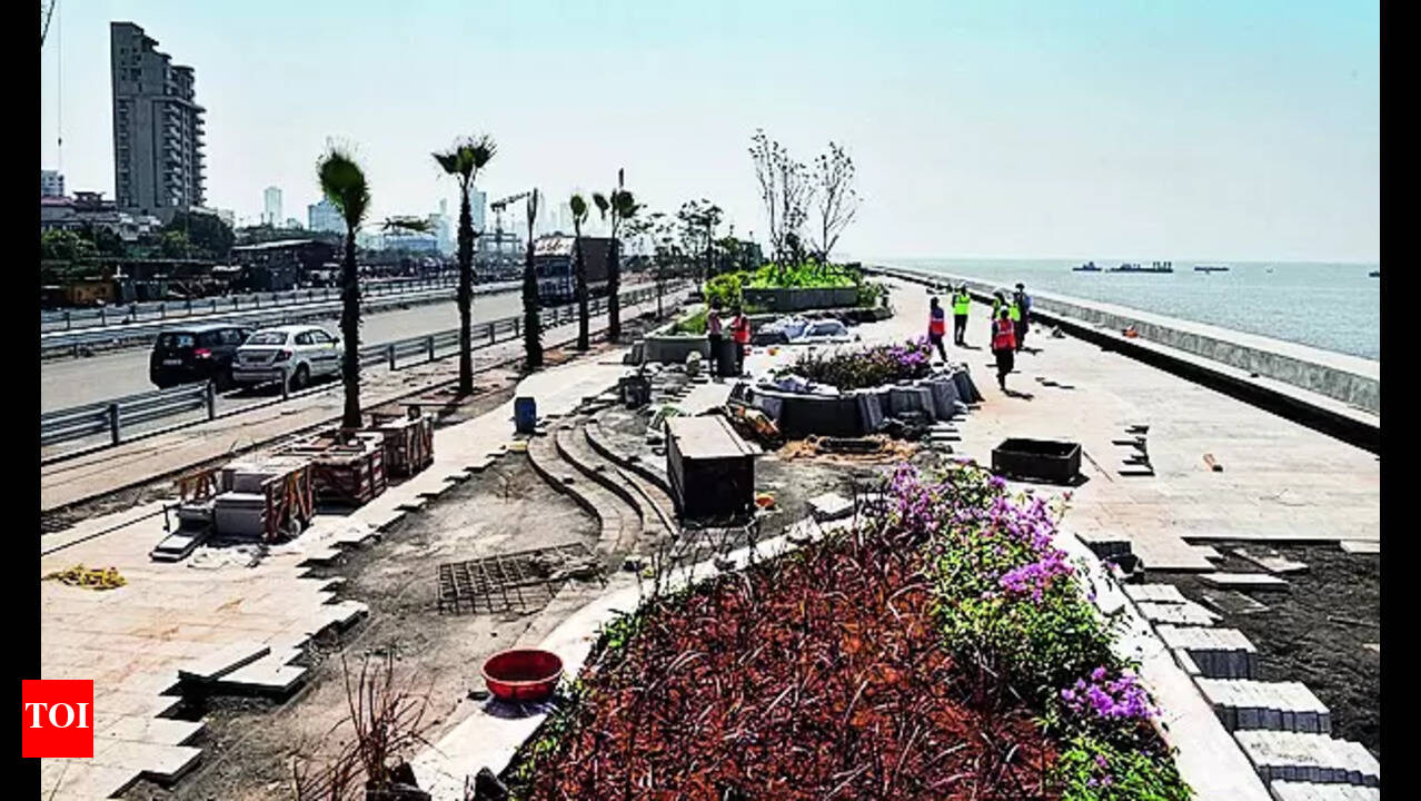 Coastal Road Landscaping: Aaditya Thackeray Calls for Global
