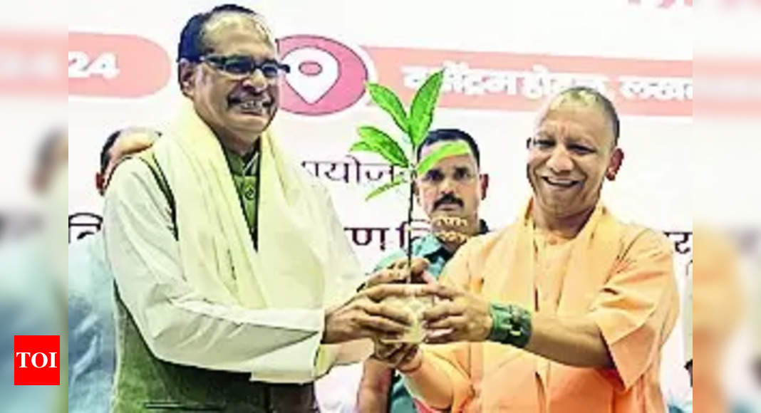 Uttar Pradesh Plants Record-Breaking 36.51 Crore Saplings