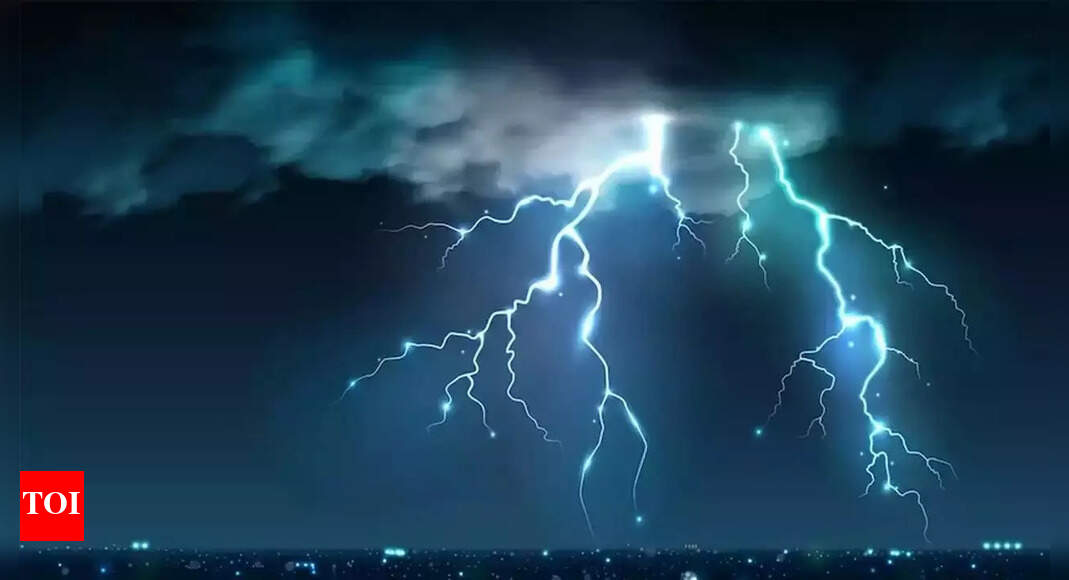Two children die in lightning strike amid flood water in Kothagudem | Hyderabad News - Times of India