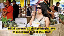 Delhiites savour all things Meghalaya at pineapple fest