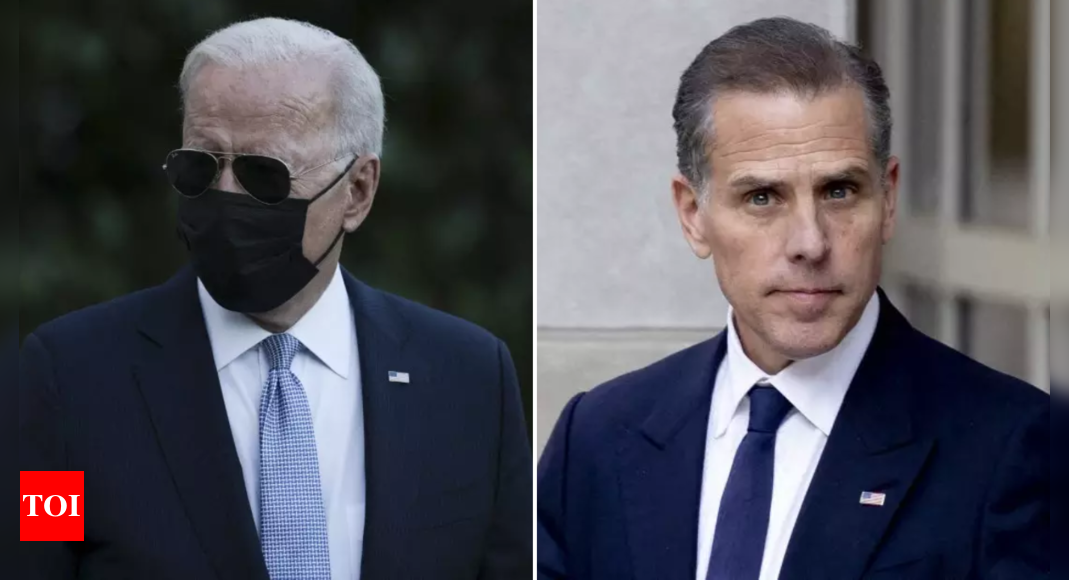 Hunter Biden seen shopping in LA while father Biden grapples with challenges – Times of India