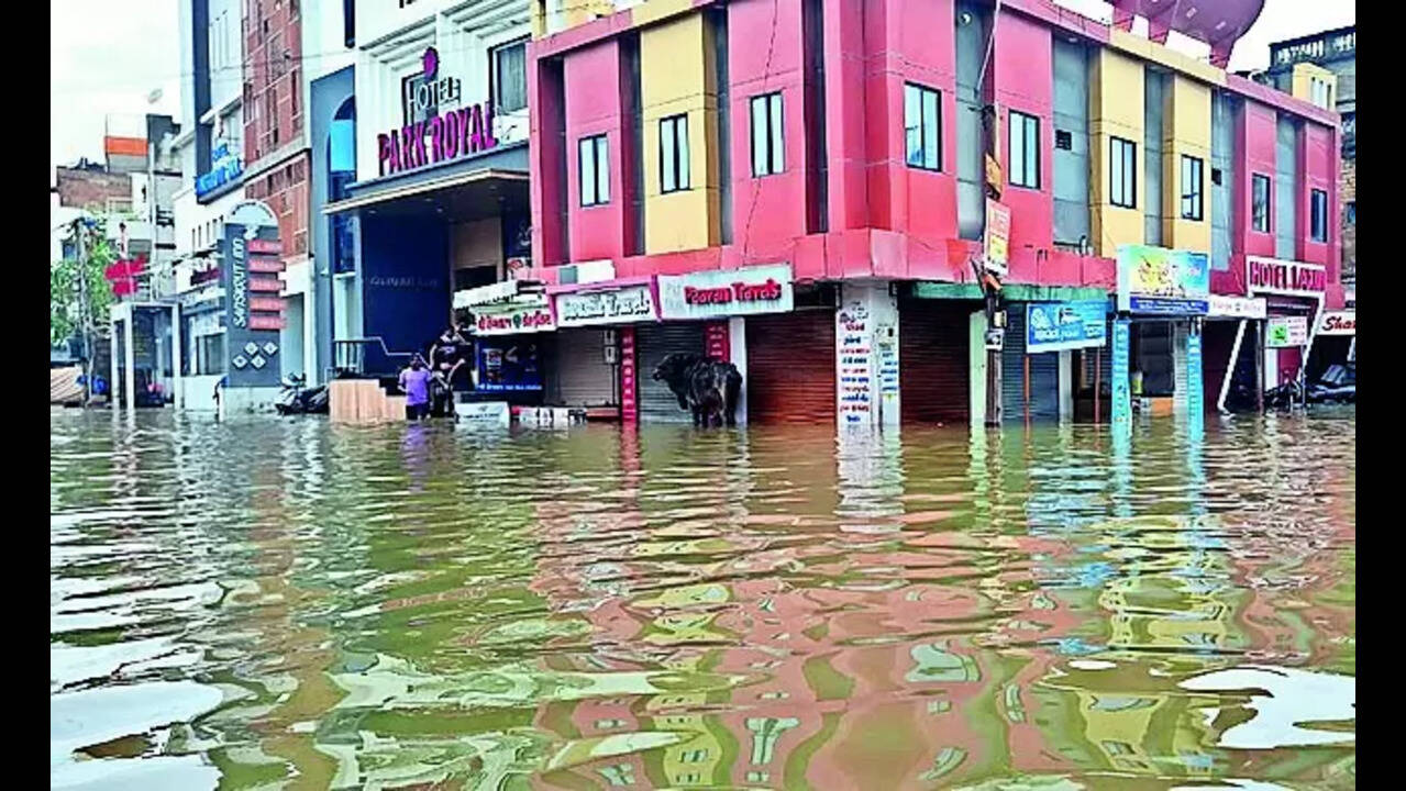 Dwarka Rajkot: Rain havoc in Dwarka: Tourist town struggles to recover |  Rajkot News - Times of India