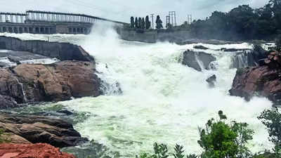 Ample rain to help Karnataka release Cauvery water to Tamil Nadu: DK Shivakumar