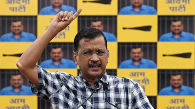 'Untoward incident could happen to Kejriwal in jail at any time': AAP accuses BJP, Delhi LG of conspiracy