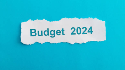 Budget 2024: Industry leaders express optimistic outlook for economic growth