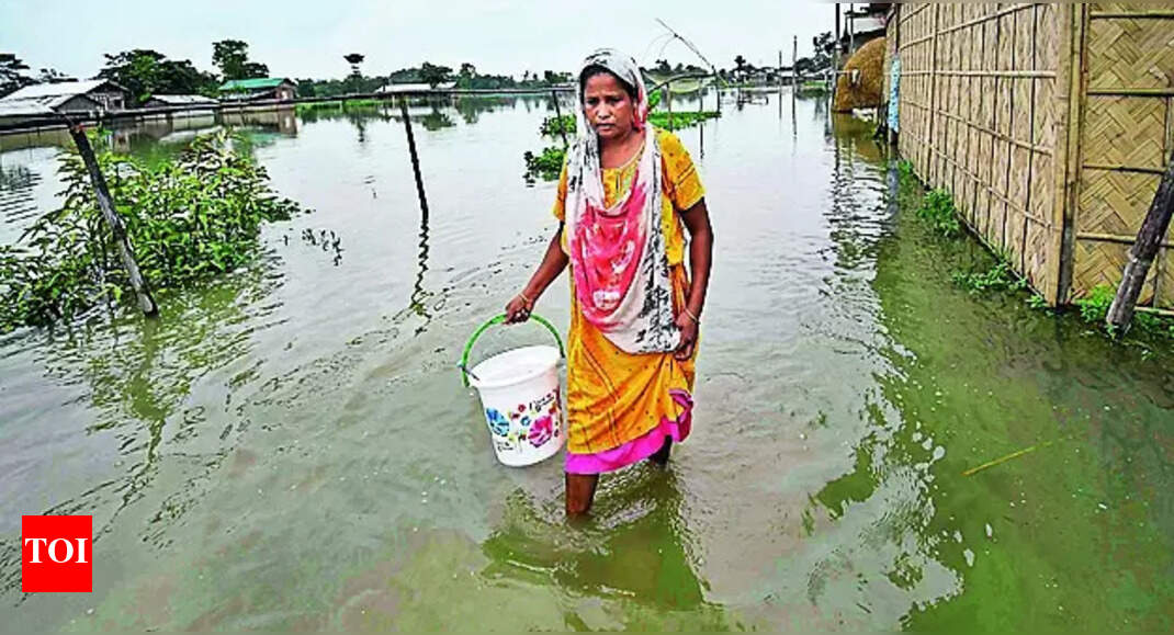Flood-Hit Assam: Jharkhand Offers Rs 2 Crore Aid to Flood-Hit Assam ...