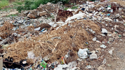 Demolition waste to dung, this road in Ghaziabad is now a dumping ground