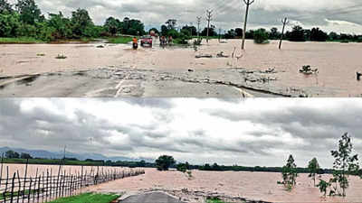 Heavy rains cause extensive damage to crops across Andhra Pradesh