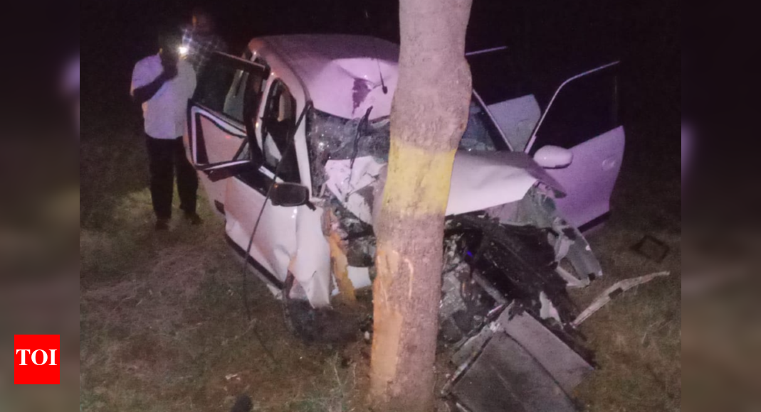 Three members of family die as car rams tree in Tamil Nadu | Chennai ...