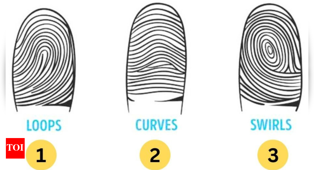 Personality Test: Here's what your fingerprint reveals about you ...