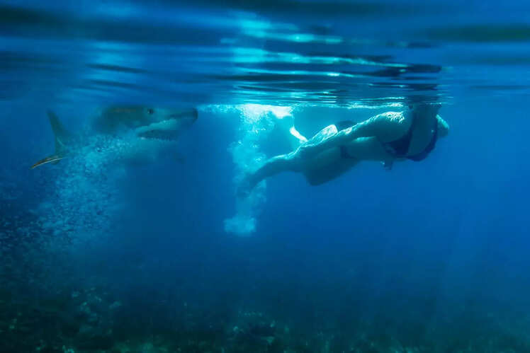 Oahu County Beaches, Hawaii