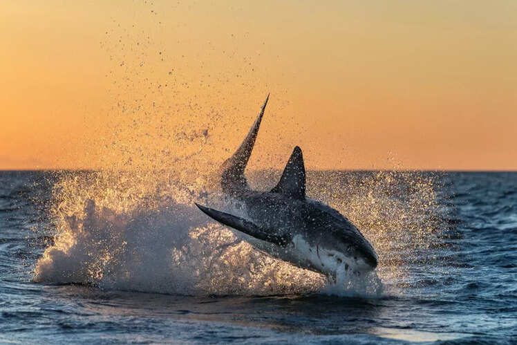Maui County Beaches, Hawaii