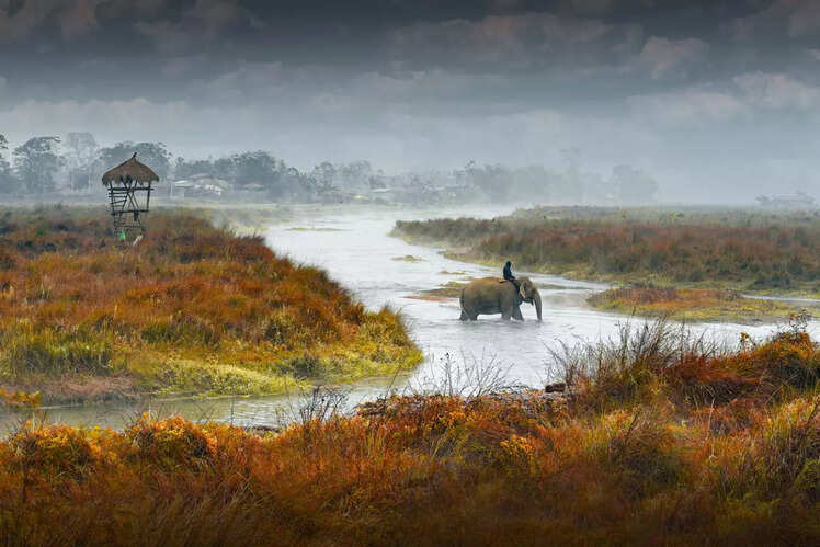 Chitwan National Park, Nepal