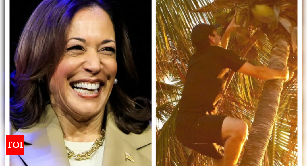 kamala-harris-why-democrat-leader-is-climbing-coconut-tree-to-show