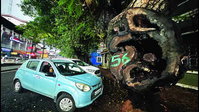 Trim 75 and cut 16 dangerous trees in city: Forest dept report