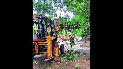 BMC to make briquettes out of green waste