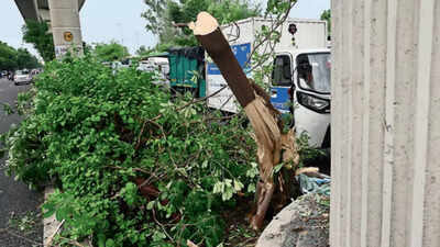 DTC bus rams metro pillar in Delhi's Punjabi Bagh; 1 dead, 23 hurt