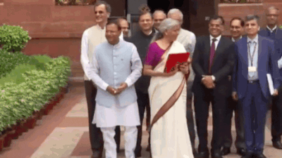 Nirmala Sitharaman opts for white and magenta saree for Budget 2024  presentation - Times of India
