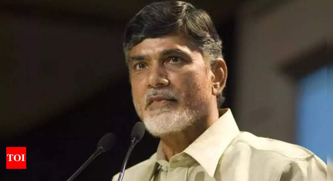 Chandrababu Naidu on Budget