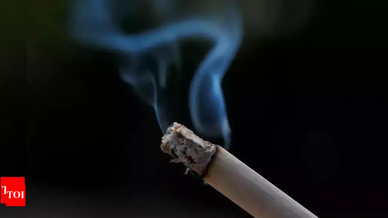 Union Budget 2024: Cigarette prices remain unchanged after no increase in  Tobacco tax
