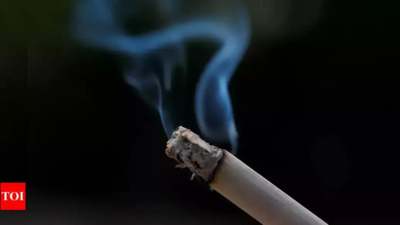 cancer free chewing tobacco Nicotine Pouch vs. Chewing Tobacco
