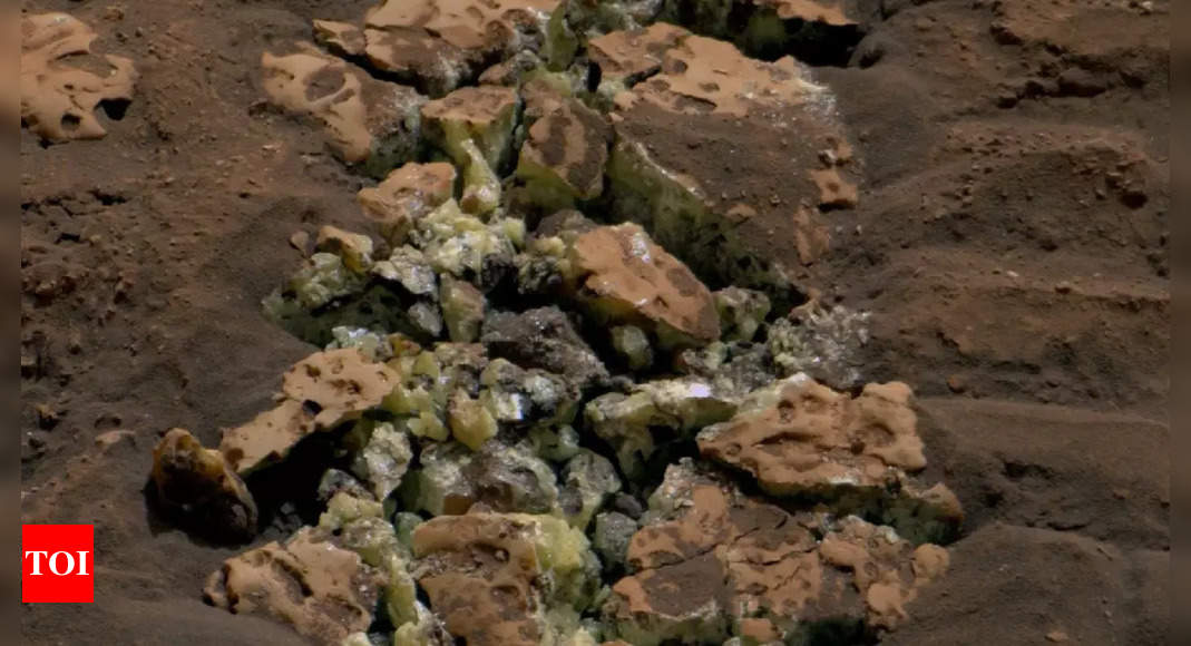 ‘Like finding an oasis in desert …’: Nasa’s Curiosity rover stuns scientists with discovery of pure sulphur on Mars – Times of India