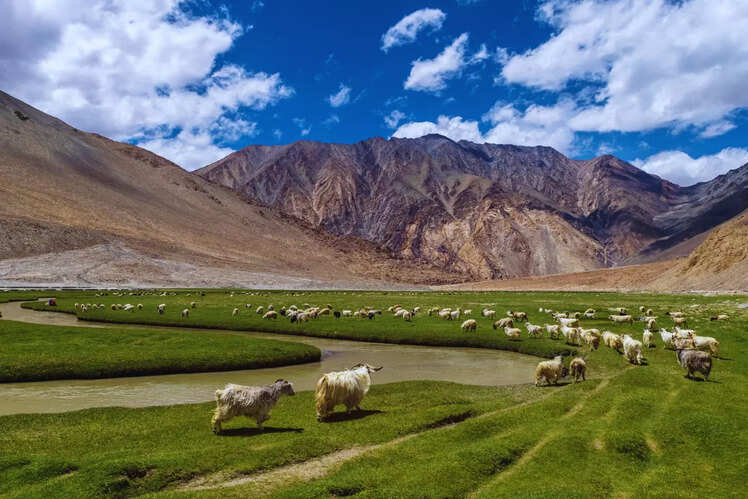 Ladakh